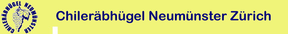 Chileräbhügel Neumünster Zürich Chileräbhügel Neumünster Zürich